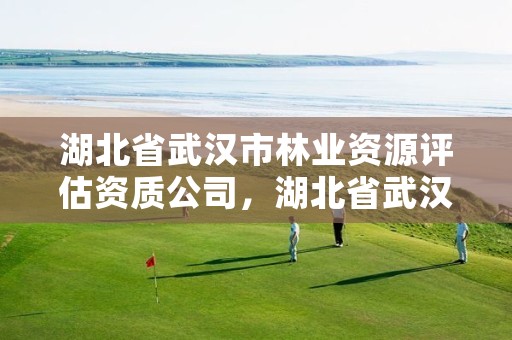 湖北省武汉市林业资源评估资质公司，湖北省武汉市林业资源评估资质公司有哪些