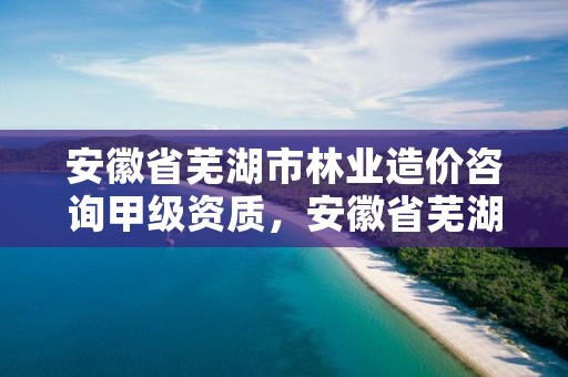 安徽省芜湖市林业造价咨询甲级资质，安徽省芜湖市林业造价咨询甲级资质公司名单