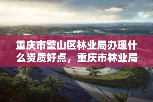 重庆市璧山区林业局办理什么资质好点,重庆市林业局怎么样