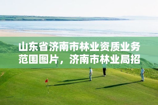 山东省济南市林业资质业务范围图片,济南市林业局招聘公告