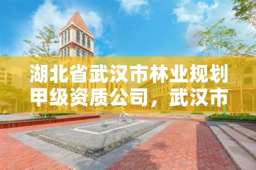 湖北省武汉市林业规划甲级资质公司，武汉市林业发展有限责任公司