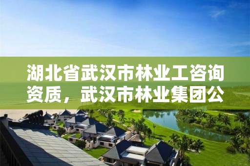 湖北省武汉市林业工咨询资质，武汉市林业集团公司官网