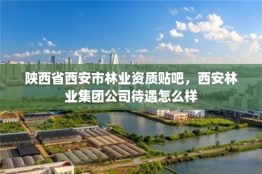 陕西省西安市林业资质贴吧,西安林业集团公司待遇怎么样