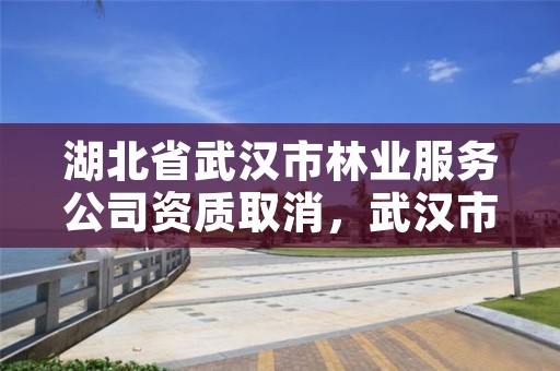湖北省武汉市林业服务公司资质取消，武汉市林业发展有限责任公司