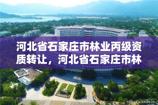 河北省石家庄市林业丙级资质转让,河北省石家庄市林业丙级资质转让公告