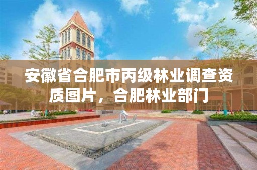 安徽省合肥市丙级林业调查资质图片，合肥林业部门