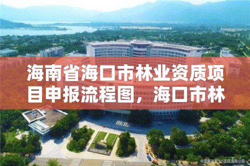海南省海口市林业资质项目申报流程图,海口市林业局电话号码