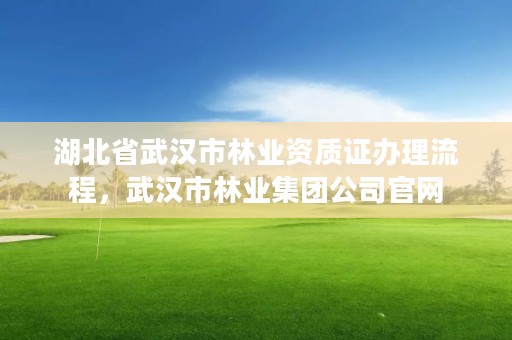 湖北省武汉市林业资质证办理流程，武汉市林业集团公司官网