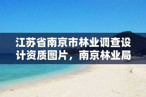 江苏省南京市林业调查设计资质图片,南京林业局