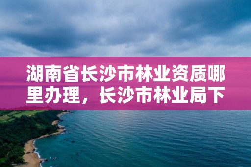 湖南省长沙市林业资质哪里办理,长沙市林业局下属单位