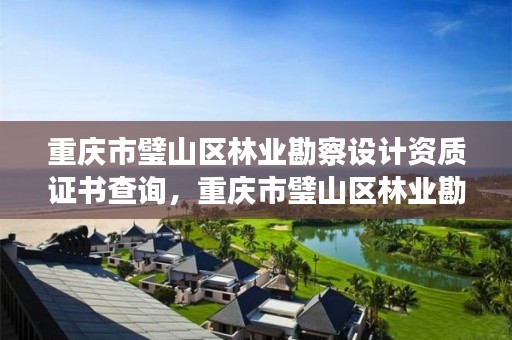 重庆市璧山区林业勘察设计资质证书查询,重庆市璧山区林业勘察设计资质证书查询网