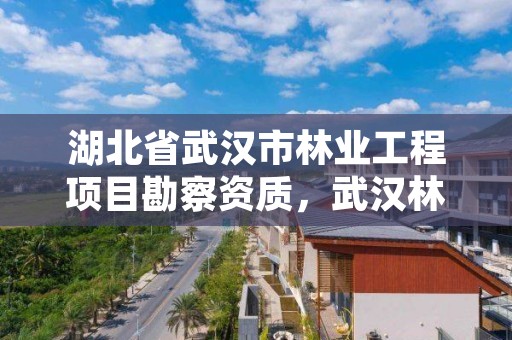 湖北省武汉市林业工程项目勘察资质，武汉林业公司有哪些