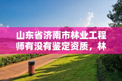 山东省济南市林业工程师有没有鉴定资质,林业工程师职称评定条件2020