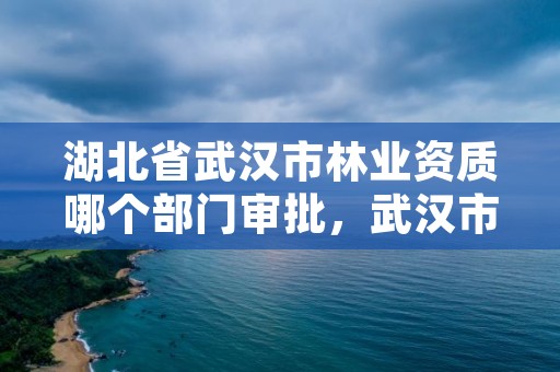 湖北省武汉市林业资质哪个部门审批，武汉市林业工作站