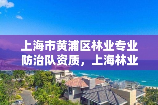 上海市黄浦区林业专业防治队资质，上海林业总站事业编待遇