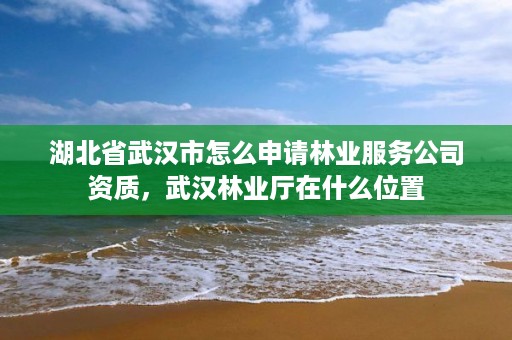 湖北省武汉市怎么申请林业服务公司资质，武汉林业厅在什么位置