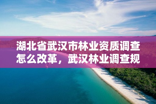 湖北省武汉市林业资质调查怎么改革，武汉林业调查规划院