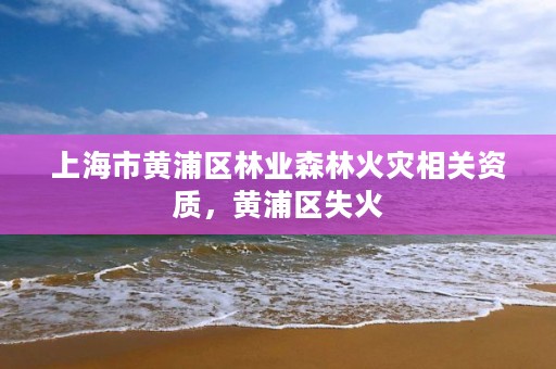 上海市黄浦区林业森林火灾相关资质,黄浦区失火