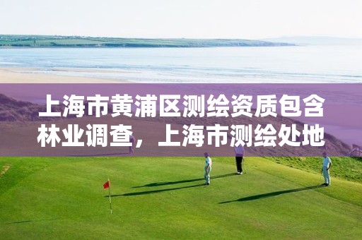 上海市黄浦区测绘资质包含林业调查,上海市测绘处地址