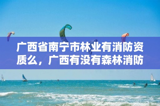 广西省南宁市林业有消防资质么,广西有没有森林消防