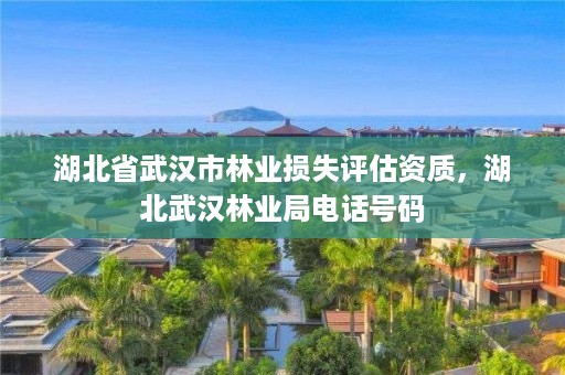 湖北省武汉市林业损失评估资质，湖北武汉林业局电话号码
