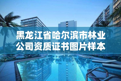 黑龙江省哈尔滨市林业公司资质证书图片样本,哈尔滨林业局管辖范围