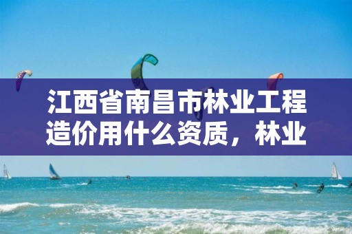 江西省南昌市林业工程造价用什么资质,林业造林设计收费标准