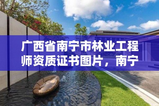 广西省南宁市林业工程师资质证书图片,南宁市林业科学研究院