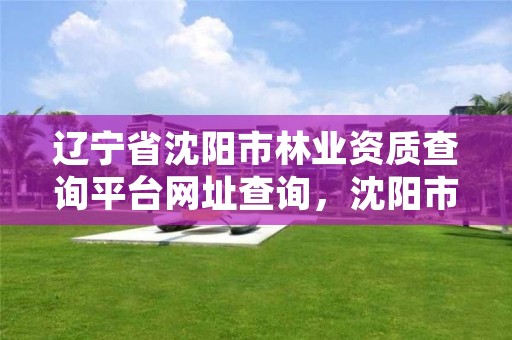 辽宁省沈阳市林业资质查询平台网址查询,沈阳市林业局官网