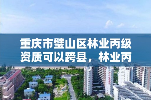 重庆市璧山区林业丙级资质可以跨县，林业丙级资质办理条件