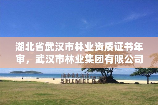 湖北省武汉市林业资质证书年审，武汉市林业集团有限公司