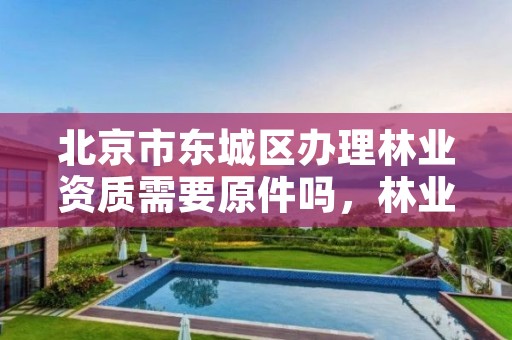 北京市东城区办理林业资质需要原件吗,林业资质如何申请办理