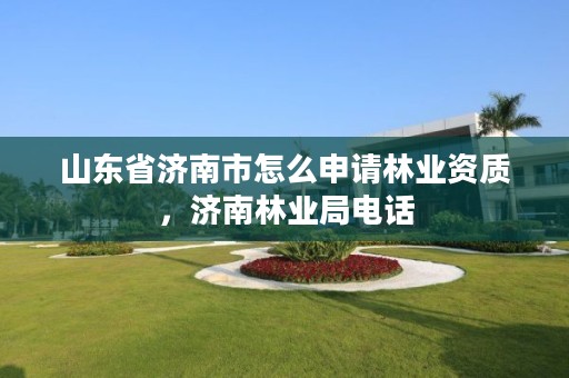 山东省济南市怎么申请林业资质,济南林业局电话