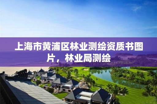 上海市黄浦区林业测绘资质书图片,林业局测绘