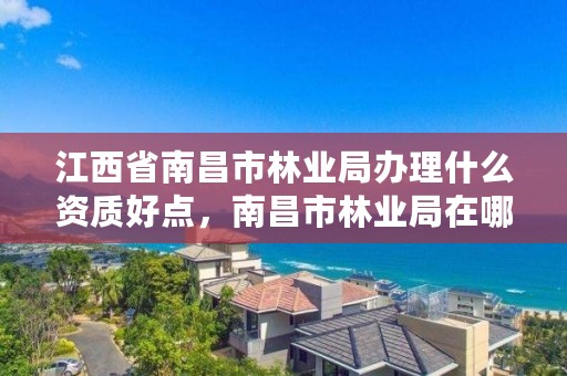 江西省南昌市林业局办理什么资质好点,南昌市林业局在哪里