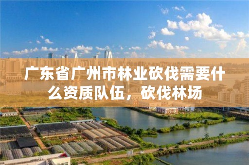 广东省广州市林业砍伐需要什么资质队伍,砍伐林场