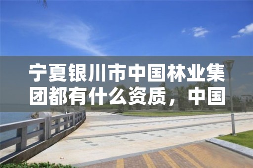 宁夏银川市中国林业集团都有什么资质，中国林业集团到底好不好