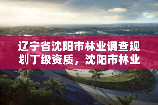 辽宁省沈阳市林业调查规划丁级资质,沈阳市林业建设保护条例