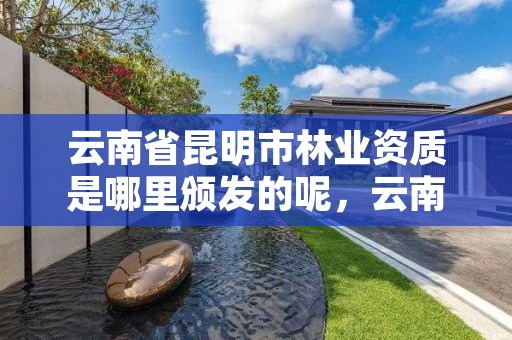 云南省昆明市林业资质是哪里颁发的呢，云南林业资质代办公司