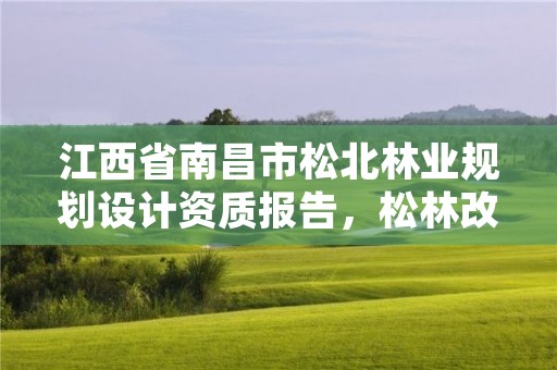 江西省南昌市松北林业规划设计资质报告,松林改造实施方案