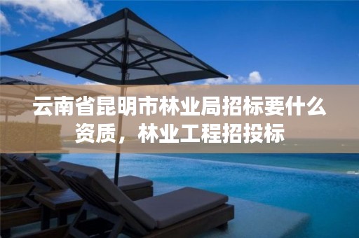 云南省昆明市林业局招标要什么资质,林业工程招投标