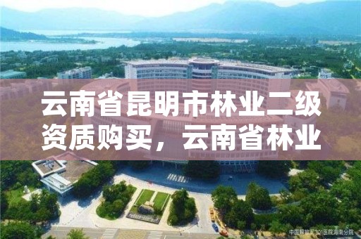 云南省昆明市林业二级资质购买，云南省林业工程专业技术资格评审条件