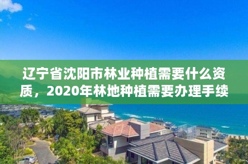 辽宁省沈阳市林业种植需要什么资质,2020年林地种植需要办理手续