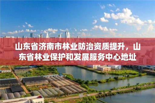 山东省济南市林业防治资质提升,山东省林业保护和发展服务中心地址