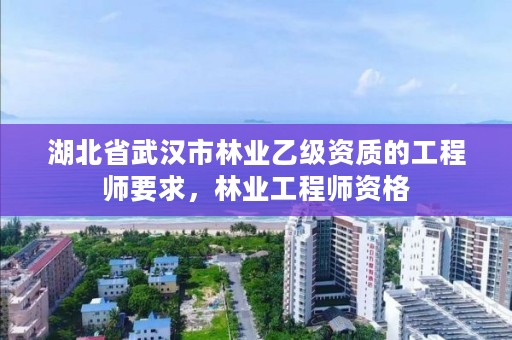湖北省武汉市林业乙级资质的工程师要求,林业工程师资格