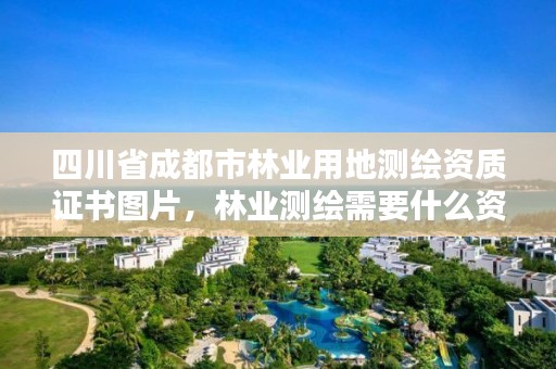 四川省成都市林业用地测绘资质证书图片,林业测绘需要什么资质