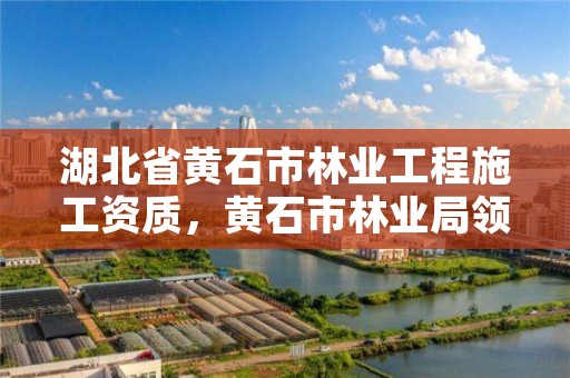 湖北省黄石市林业工程施工资质,黄石市林业局领导班子