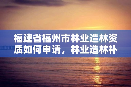 福建省福州市林业造林资质如何申请,林业造林补贴政策