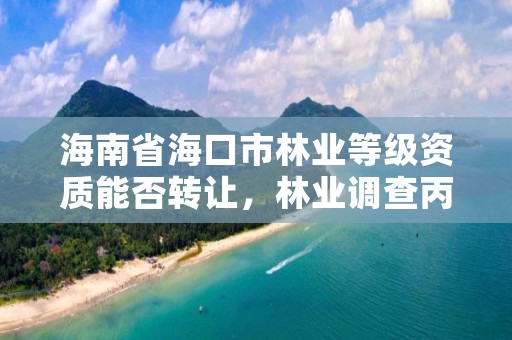 海南省海口市林业等级资质能否转让,林业调查丙级资质转让