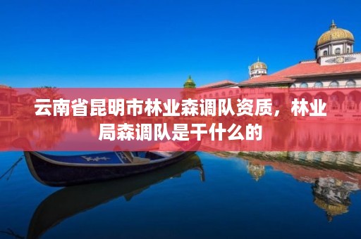 云南省昆明市林业森调队资质,林业局森调队是干什么的
